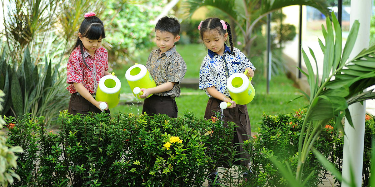 Gardening News 2026: Planting Guides, Vegetable Gardening, Landscaping Ideas, and Garden Design Tips